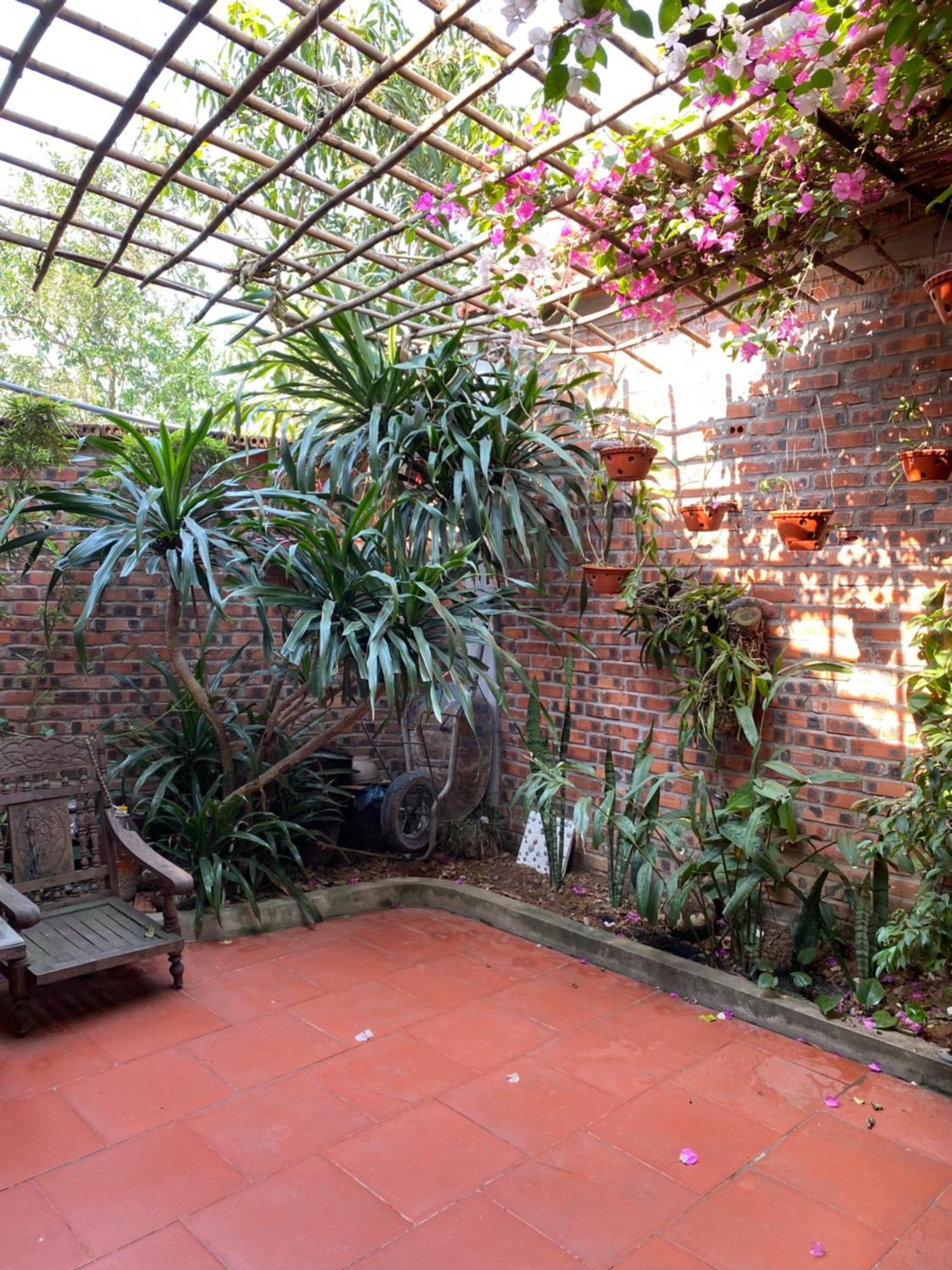 Tam Coc Charming Bungalow Ninh Binh Exterior photo